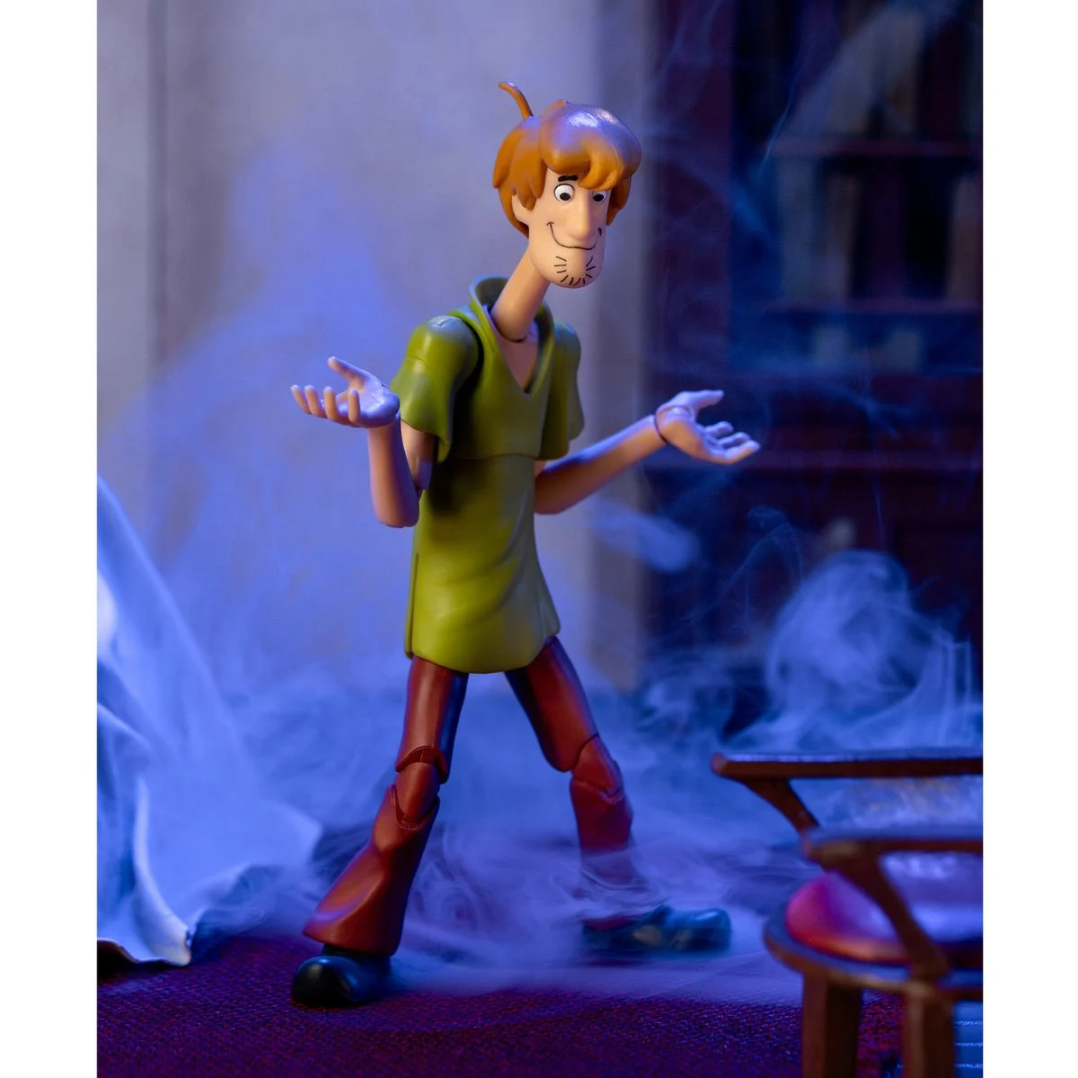 Jada Scooby-Doo! Wave 1 Shaggy Action Figure – 1:12 Deluxe Scale Toys – 6" Tall, Fully Articulated, Collector Packaging